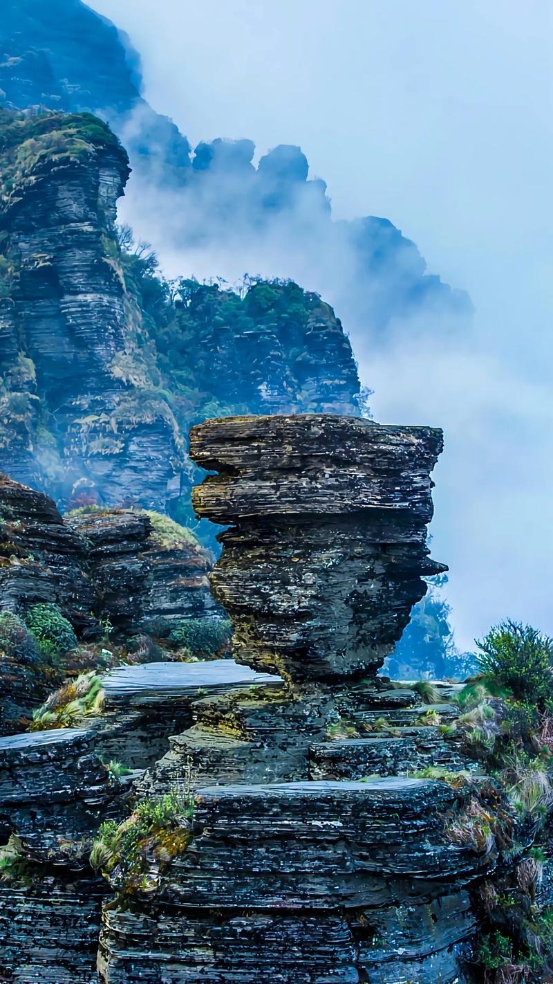Mount Fanjing China 11