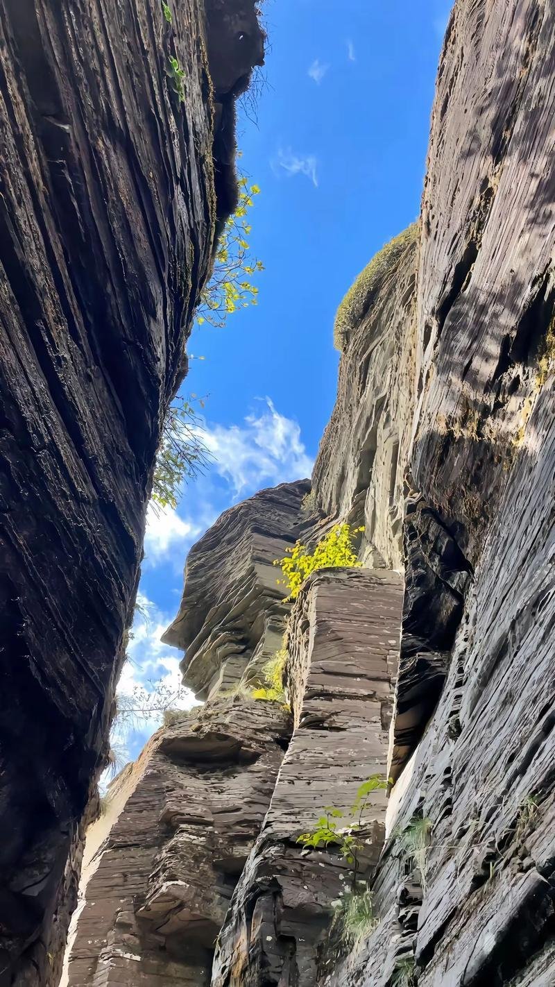 Mount Fanjing China 5
