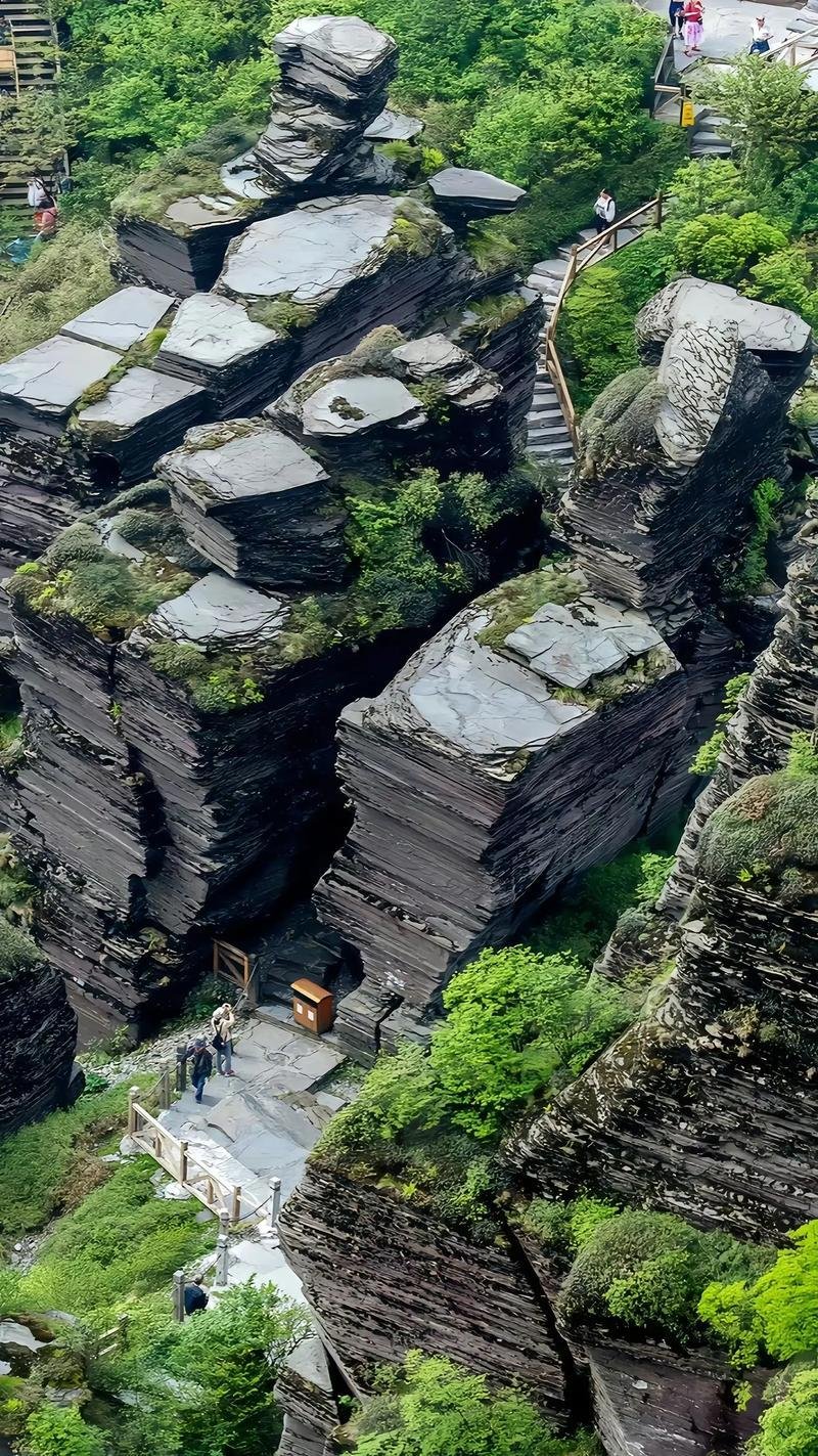 Mount Fanjing China 7