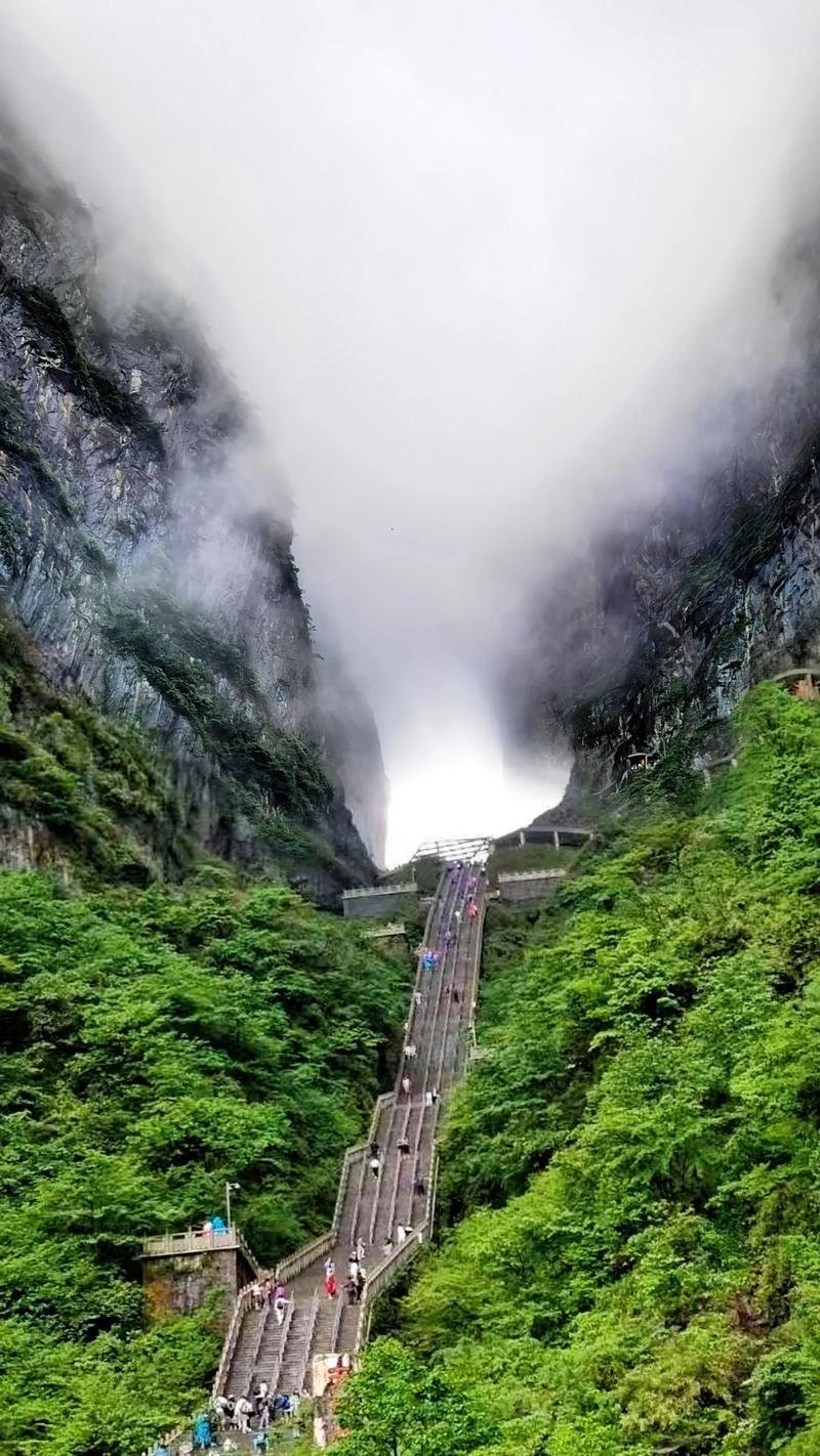 Tianmen Mountain 8