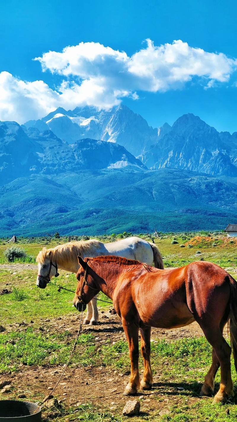 Yulong Snow Mountain China 4