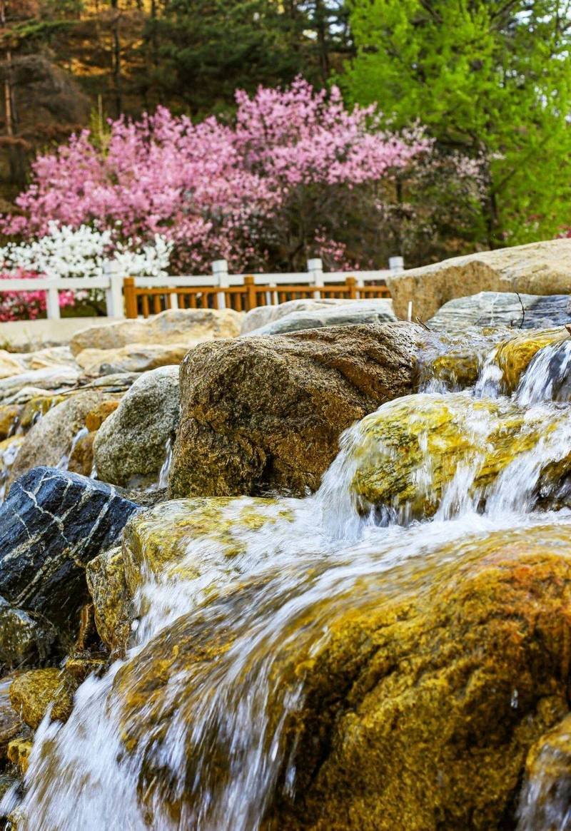 Caishixi Mount Tai 13