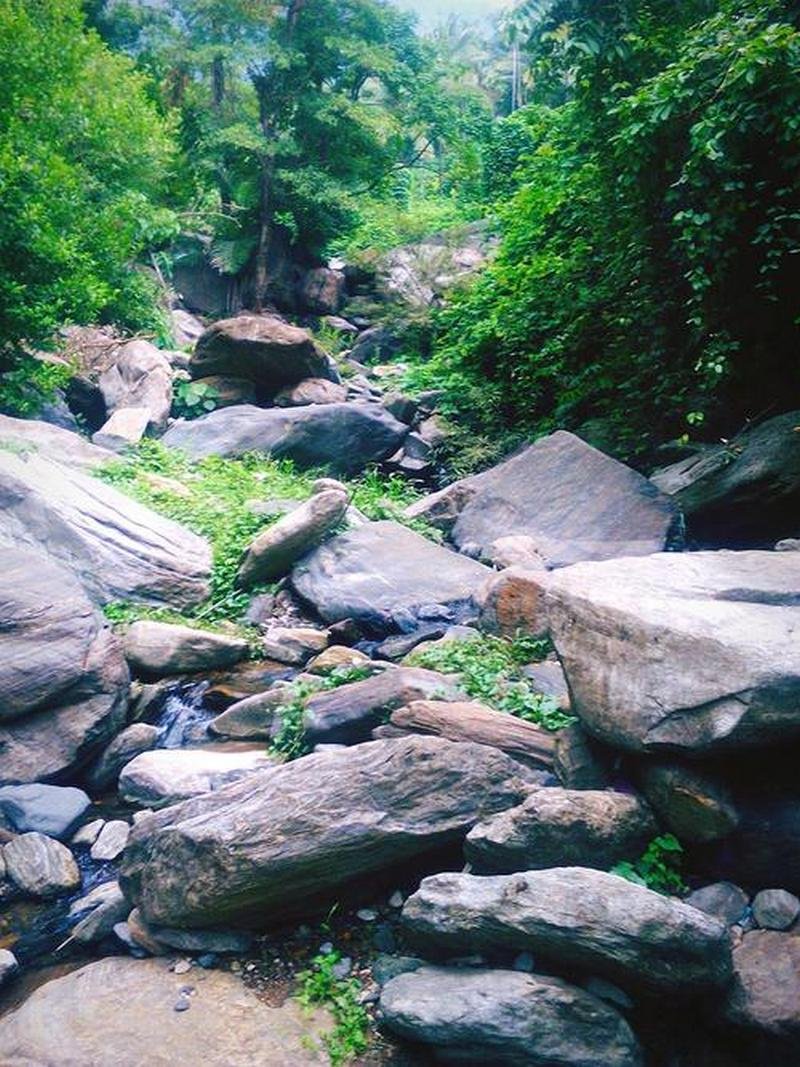 Caishixi Mount Tai 7