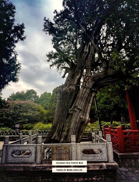 Dai Temple Of Mount Tai