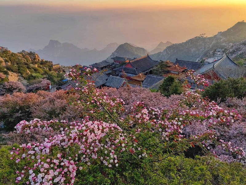 Spring Mount Tai 12
