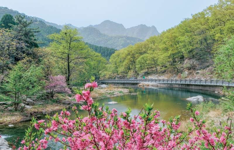 Spring Mount Tai 2