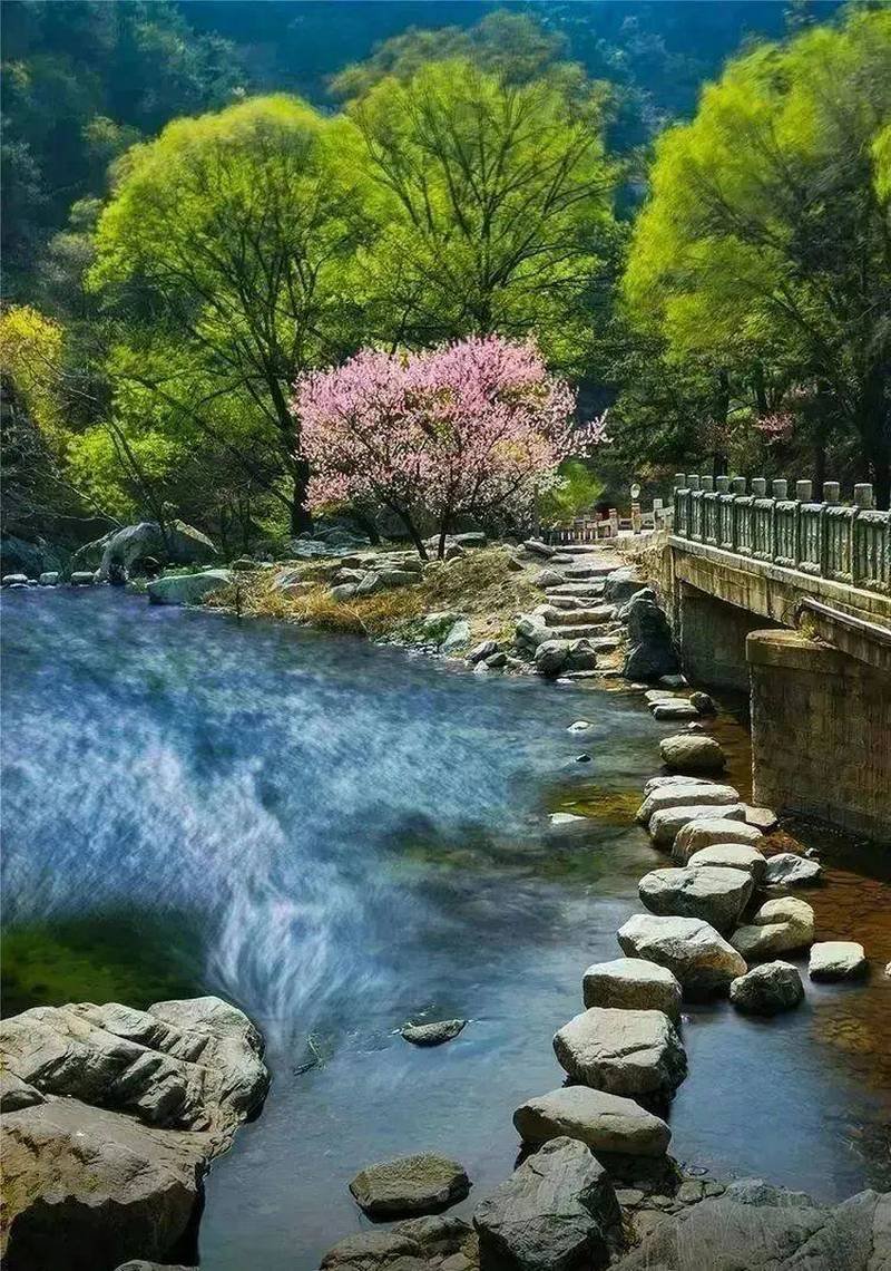 Spring Mount Tai 3