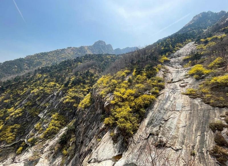 Spring Mount Tai 6