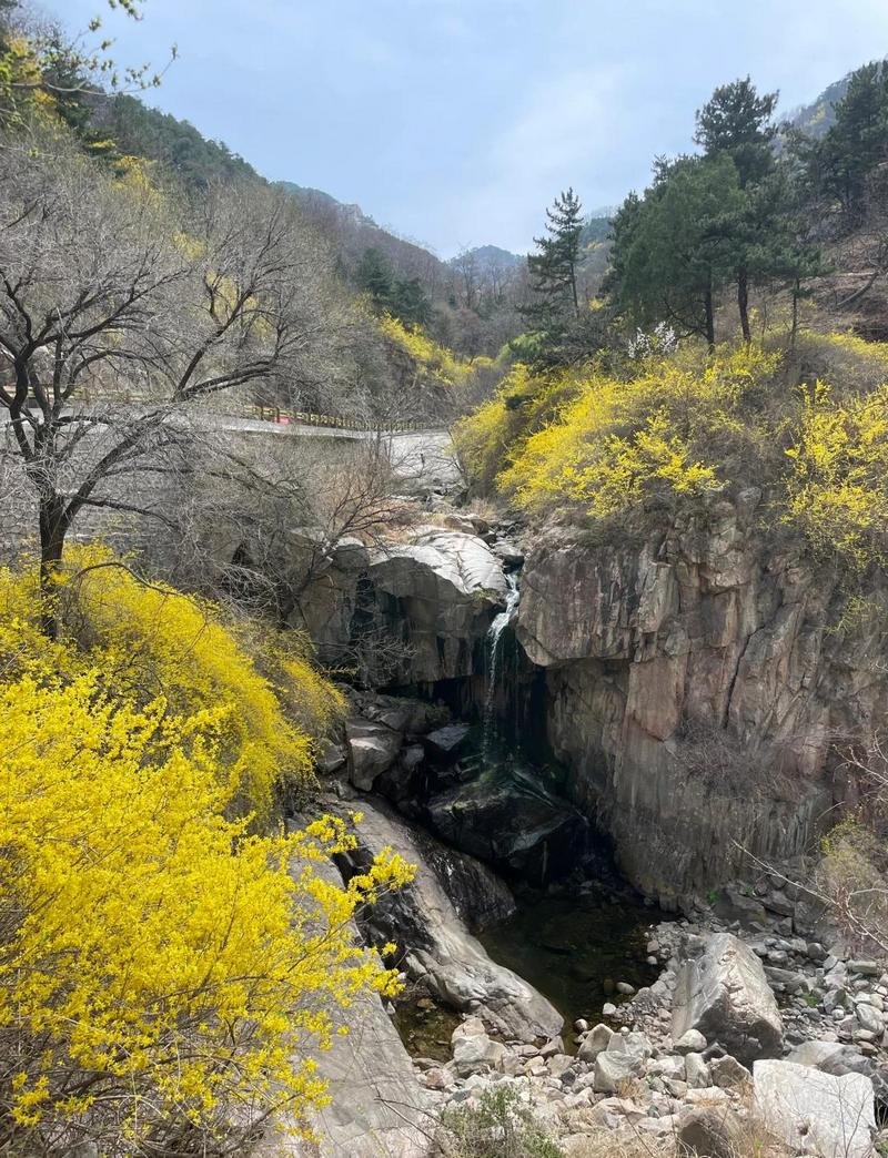 Spring Mount Tai 7