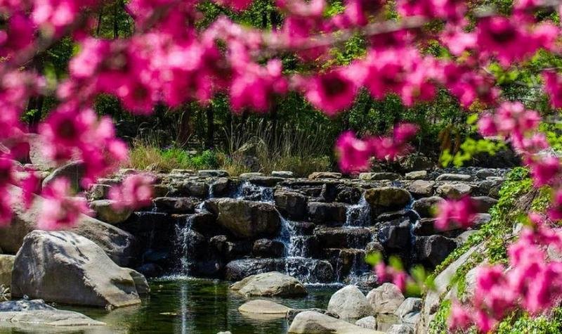 Spring Mount Tai 8