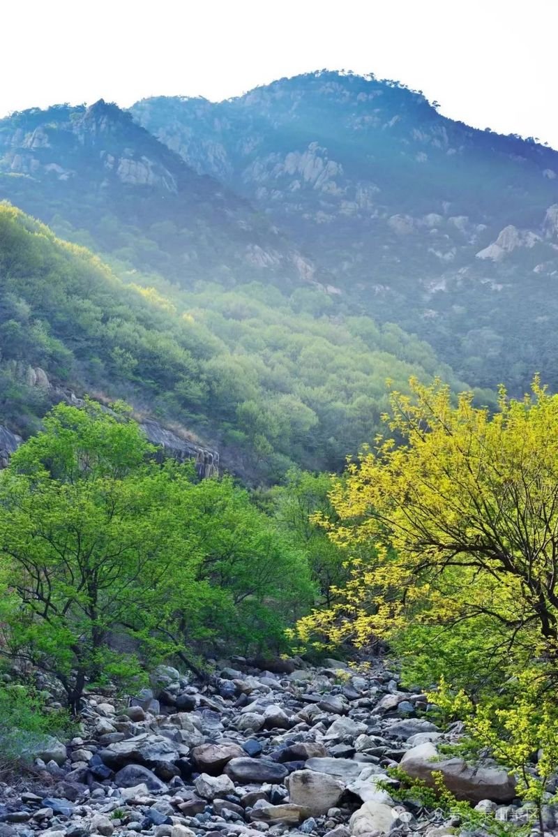 Spring Mount Tai 9
