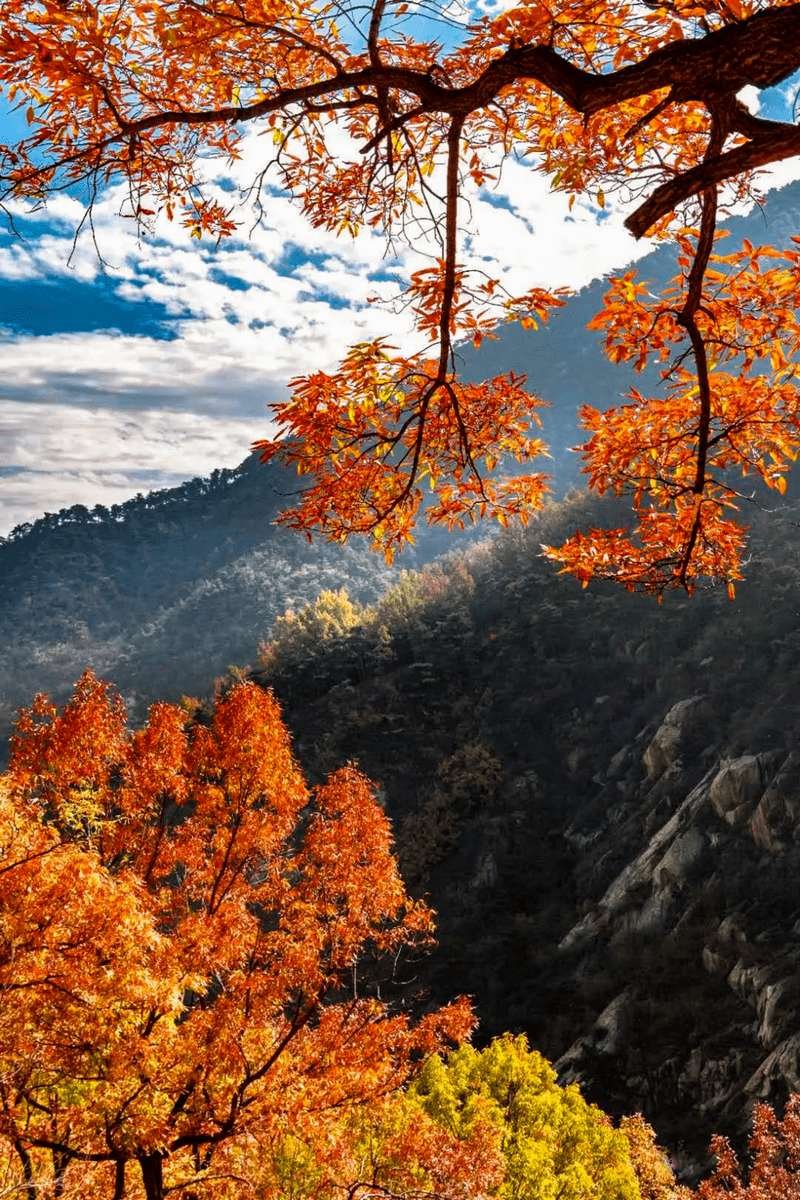 Autumn Mount Tai 11