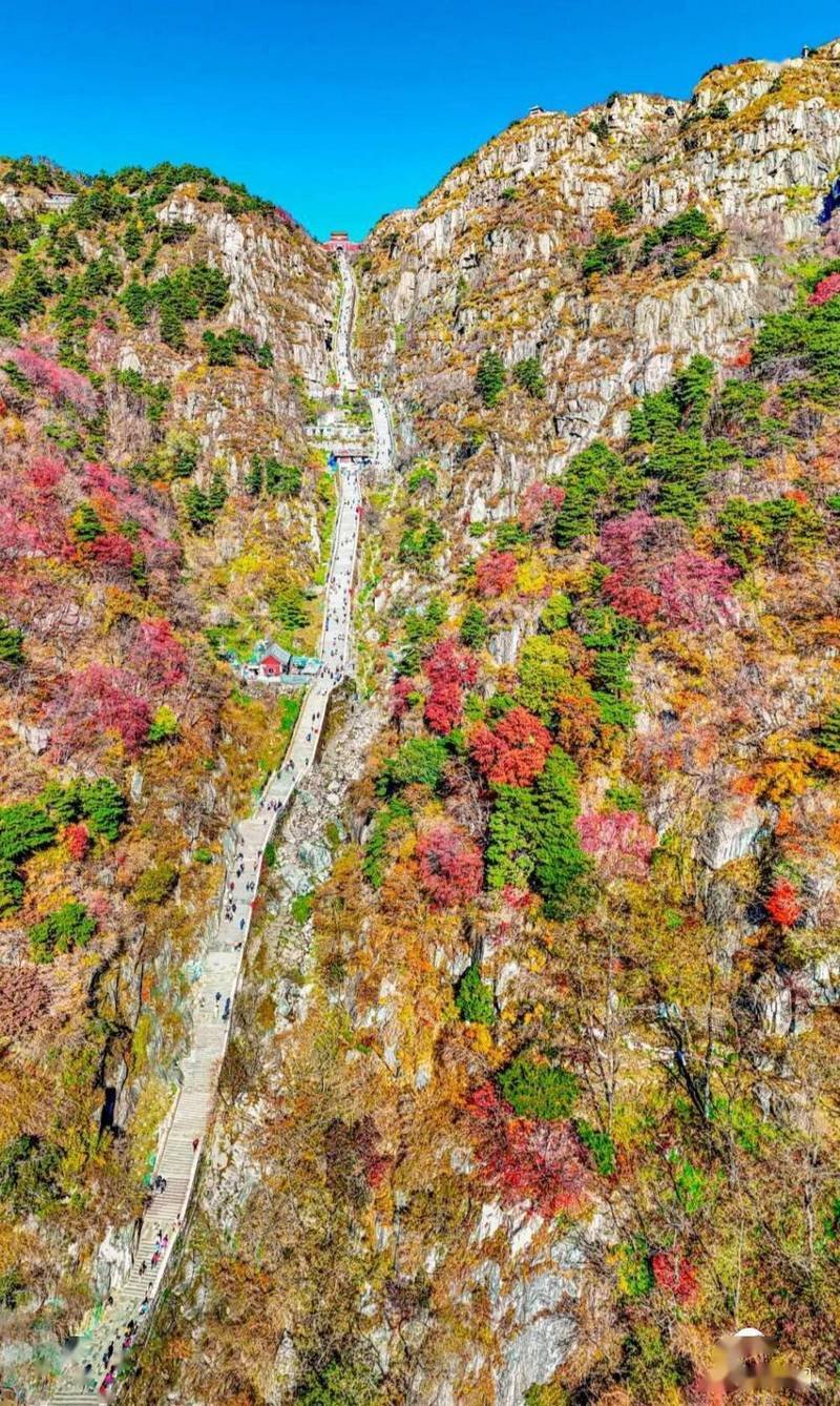 Autumn Mount Tai 12