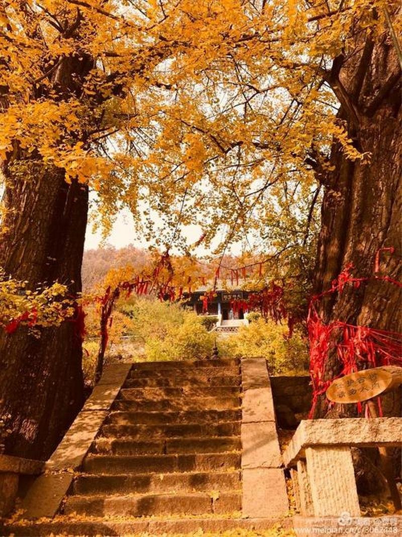 Autumn Mount Tai 7