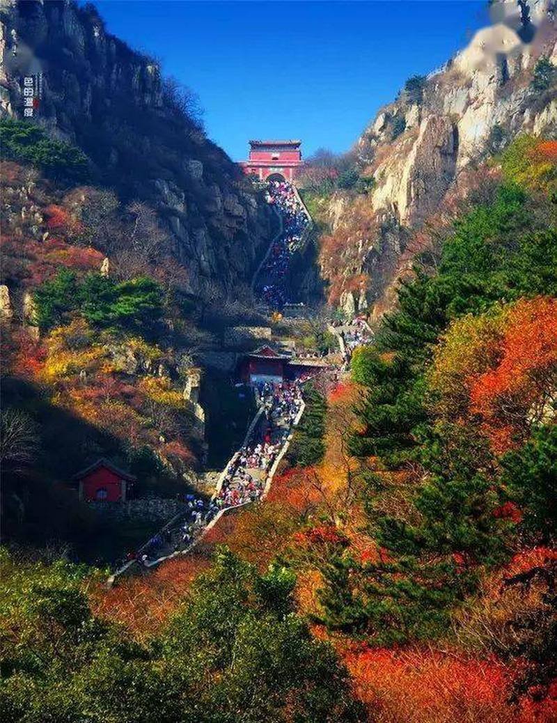 Autumn Mount Tai 9