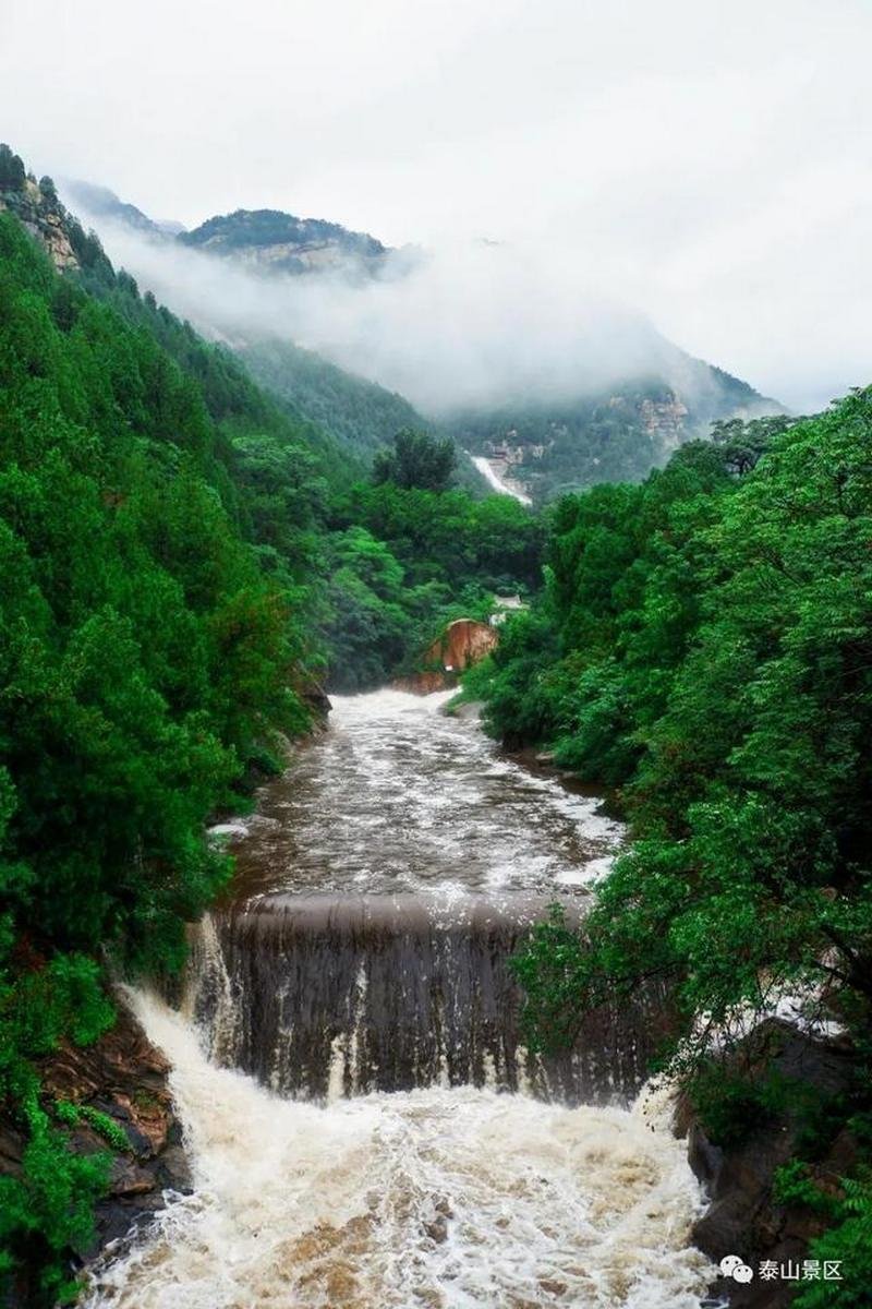 Summer Mount Tai 10