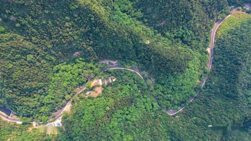 Summer Mount Tai 4