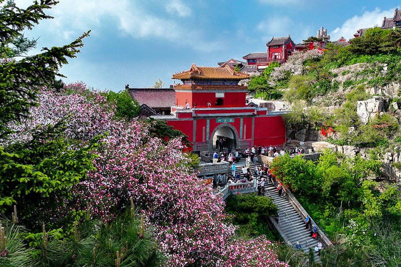 Summer Mount Tai 8
