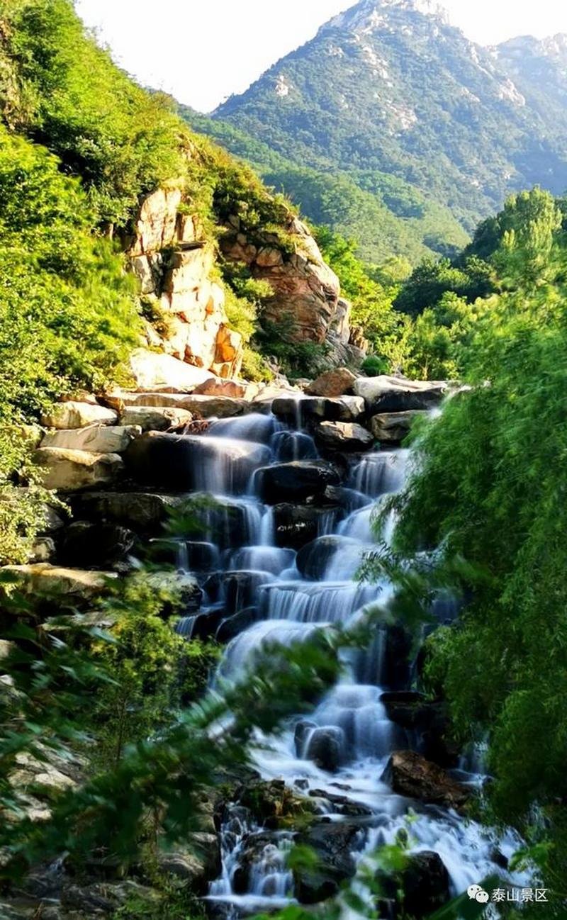 Summer Mount Tai 9