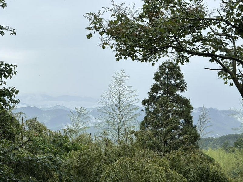 Moganshan