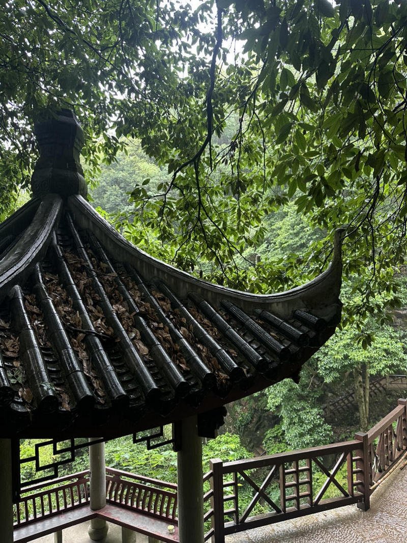 Moganshan 5