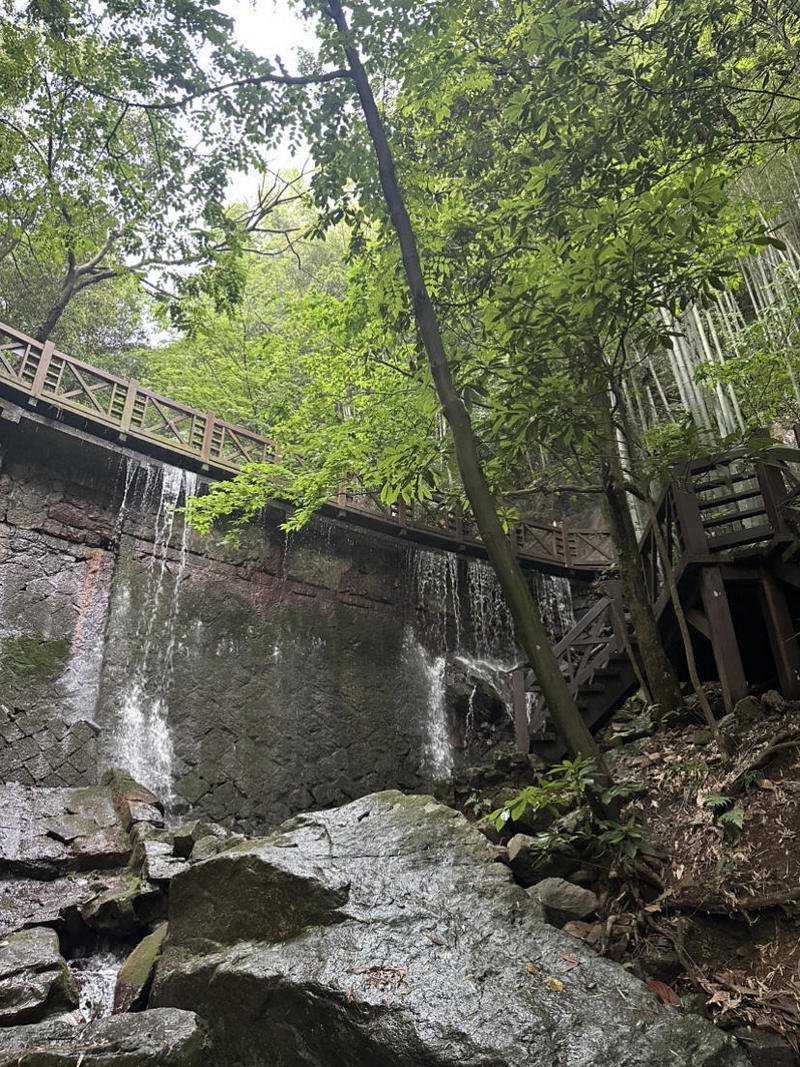 Moganshan 6