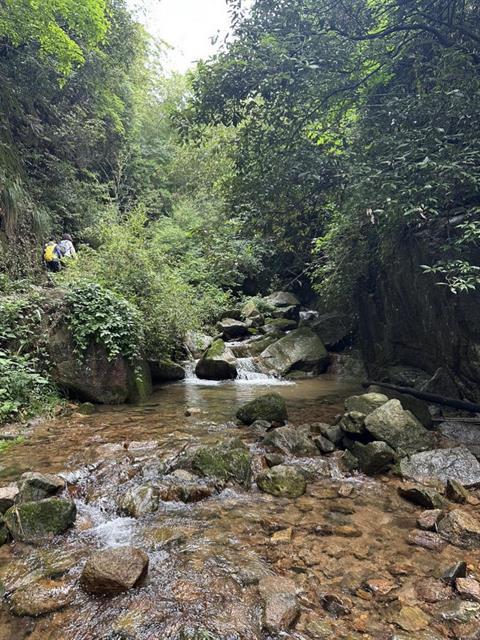 Moganshan 7