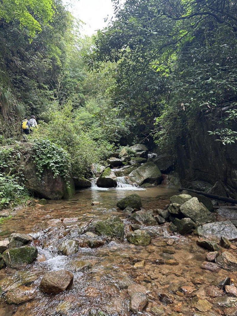 Moganshan 7