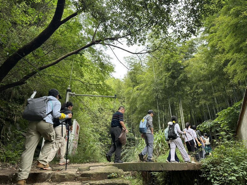 Moganshan 9