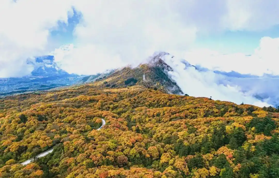 Autumn Scenery Of Mount Emei