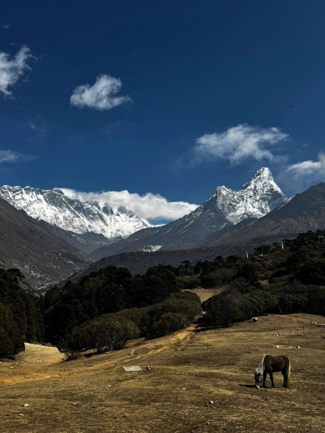 Everest Base Camp