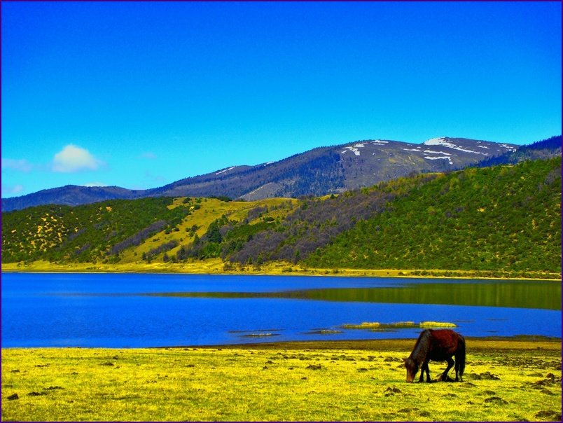 Shangri La Tibetan Monastery