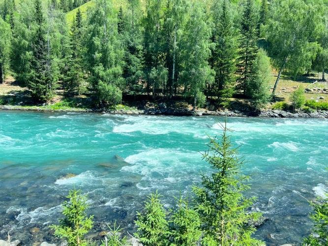 Kanas Lake In Summer